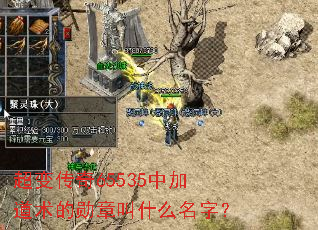 ���䴫��65535�мӵ�����ѫ�½�ʲô���֣�