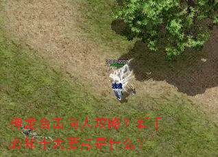 神龙合击商人攻略?新手必知十大要点是什么? 神龙合击商人攻略?新手必知十大要点是什么?