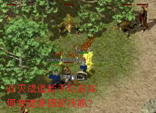 寂灭成道新手玩家如何快速掌握新技能? 寂灭成道新手玩家如何快速掌握新技能?