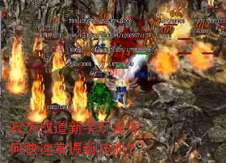 寂灭成道新手玩家如何快速掌握新技能? 寂灭成道新手玩家如何快速掌握新技能?