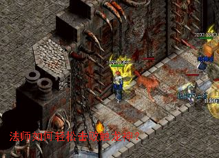 ��ʦ������ɻ��ܴ�����