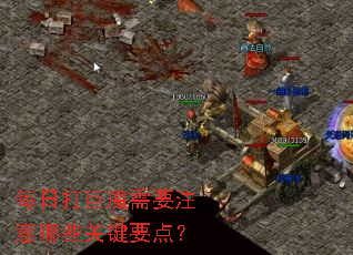 每日打巨魔需要注意哪些关键要点? 每日打巨魔需要注意哪些关键要点?