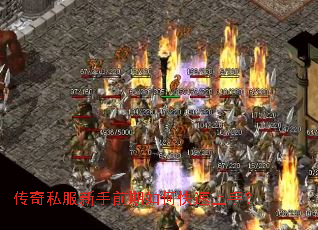 ����˽������ǰ����ο������֣�