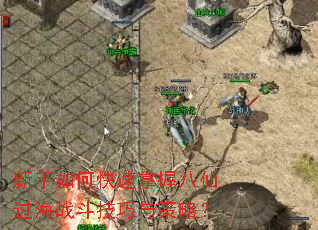 ������ο������հ��ɹ���ս����������ԣ�