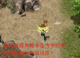 �������Ӣ�ۺϻ����������9Ӣ��ȺP�߼����ܣ�