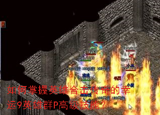 �������Ӣ�ۺϻ����������9Ӣ��ȺP�߼����ܣ�