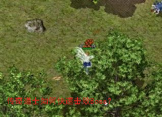 �����ʿ��ο��ٻ���Boss��