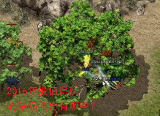 2016����ֵ����ľ�Ʒ��������Щ��