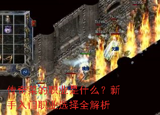 ����˵�ְҵ��ʲô����������ְҵѡ��ȫ����