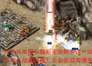 传奇私服国际版新手如何快速升级?技能点怎么加最合理?装备获取有哪些途径? 传奇私服国际版新手如何快速升级?技能点怎么加最合理?装备获取有哪些途径?