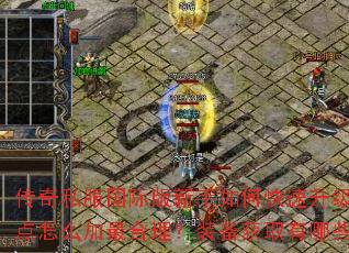 传奇私服国际版新手如何快速升级?技能点怎么加最合理?装备获取有哪些途径? 传奇私服国际版新手如何快速升级?技能点怎么加最合理?装备获取有哪些途径?