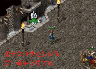 ��ʿ��ο��ٻ�ȡ���������ֱؿ�����