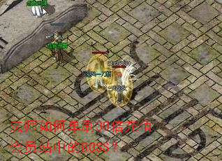 法师如何单刷30倍充值会员站中的BOSS? 法师如何单刷30倍充值会员站中的BOSS?