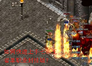 ��ο���������ɱ���ߵ�ְҵ��Ұ棿