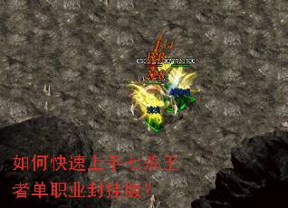 ��ο���������ɱ���ߵ�ְҵ��Ұ棿