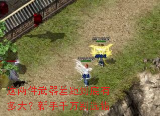 这两件武器差距到底有多大?新手千万别选错 这两件武器差距到底有多大?新手千万别选错