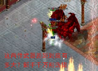 这两件武器差距到底有多大?新手千万别选错 这两件武器差距到底有多大?新手千万别选错