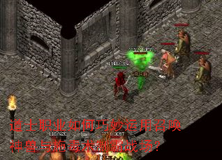 ��ʿְҵ������������ٻ�������ʩ�����ư�ս����