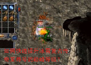 ��ο���������ѩ���Ŵ�������ŵ��۷�ȼ���