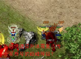 ��ο���������ѩ���Ŵ�������ŵ��۷�ȼ���