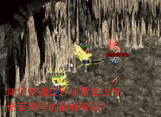 ��ο���������ѩ���Ŵ�������ŵ��۷�ȼ���