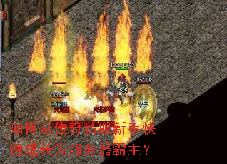 ��δӴ���˽�����ֿ��ٳɳ�Ϊ������������