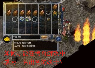 ��β����ڴ�����Ϸ�г�Ϊһ����ɫ��սʿ��