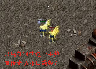 ������ο���������Ѫ����˽���ڴ��棿