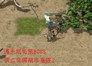 ͨ����ÿ��BOSS������ξ�׼���գ�