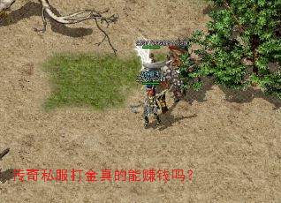 ����˽����������׬Ǯ��