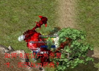 ��ο���������ɫ���ԣ�ʵ��ս�������