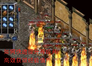 ��ο��������ȼ�����Ч��ȡ����ֵ��