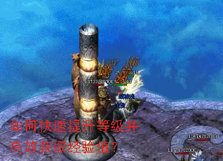 ��ο��������ȼ�����Ч��ȡ����ֵ��