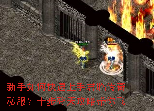新手如何快速上手君临传奇私服?十步登天攻略带你飞 新手如何快速上手君临传奇私服?十步登天攻略带你飞