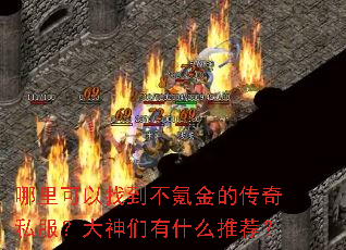 ��������ҵ���봽�Ĵ���˽������������ʲô�Ƽ���