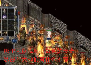 ��������ҵ���봽�Ĵ���˽������������ʲô�Ƽ���