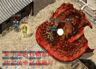 新手如何在畅易阁安全购买传奇私服账号? 新手如何在畅易阁安全购买传奇私服账号?