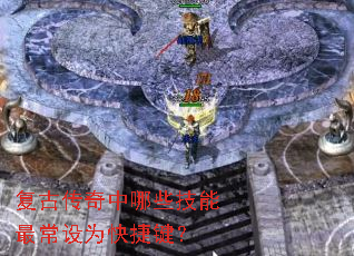 ���Ŵ�������Щ�������Ϊ��ݼ���