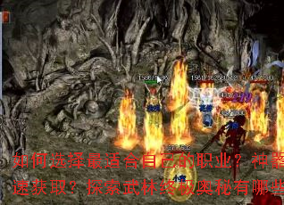 ���ѡ�����ʺ��Լ���ְҵ��������ο��ٻ�ȡ��̽�������ռ���������Щ���ɣ�