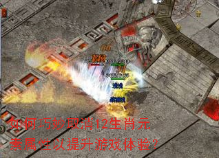 �������ȡ��12��ФԪ��������������Ϸ���飿