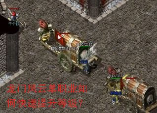 ���ŷ��Ƶ�ְҵ��ο��������ȼ���