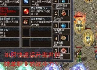 ��ο�����������Ⱥ�۵�ְҵ��ս������