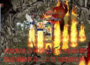 ��ĬְҵΪ�������귨��½�ưԣ����ҽ���������淨����������