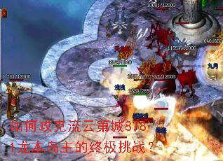 ��ι������Ƶڳ�8781��ľ�������ռ���ս��