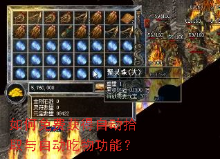 �����ѻ���Զ�ʰȡ���Զ����﹦�ܣ�