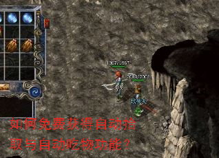 �����ѻ���Զ�ʰȡ���Զ����﹦�ܣ�