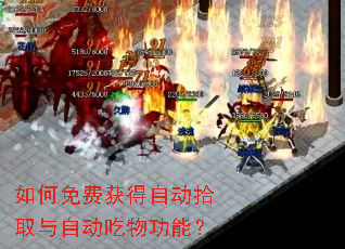 �����ѻ���Զ�ʰȡ���Զ����﹦�ܣ�