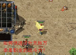 ��ο������������򼾵�ְҵ��ս������