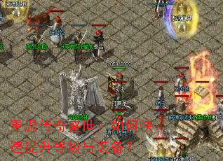 ���´���ʢ������ο��������ȼ���װ����