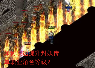 ��ο���������������ְҵ��ɫ�ȼ���